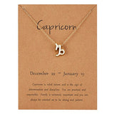 FASHIONA - ketting sterrenbeeld Steenbok verguld - dames