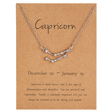 Damesketting sterrenbeeld zodiac steenbok. Roestvrij staal